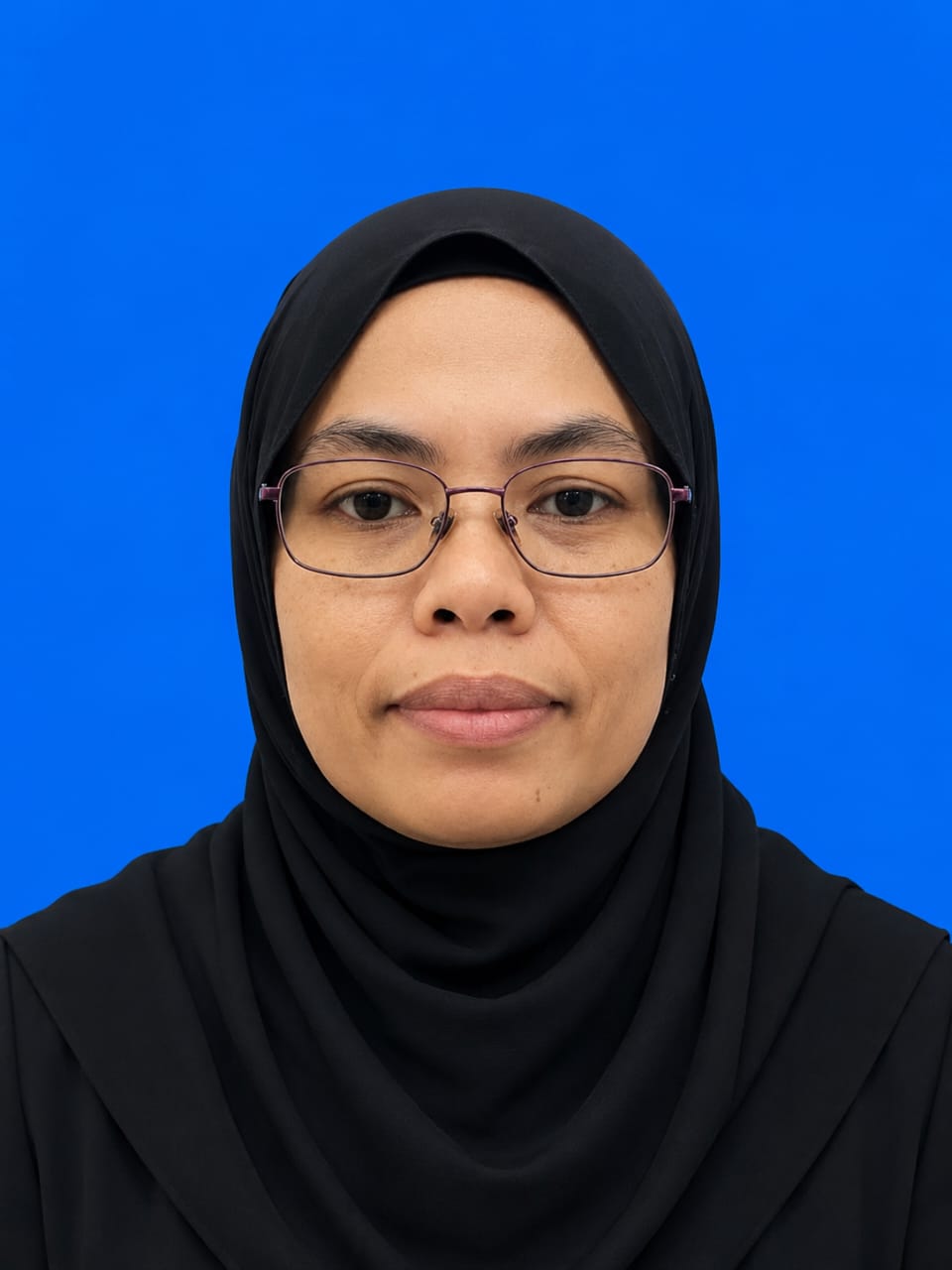 SALINA BINTI CHE HASHIM